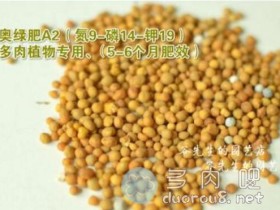 喝剩的茶叶渣可以给多肉植物当肥料吗?