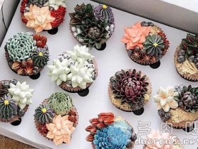 这么美的多肉蛋糕,我一定是舍不得吃的!