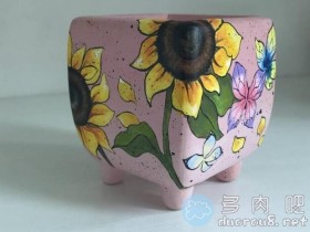 夏日里多肉没脸看怎么办?一起来赏盆吧