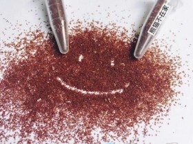 网友免费发放多肉种子 第二期(粉雪莲),真的好棒棒!