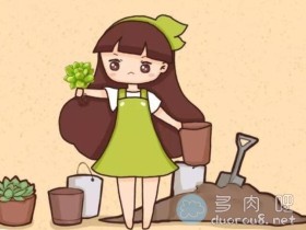 还在苦恼多肉配土?佛系肉迷和精致肉迷都看过来,这几种配土方案值得一试