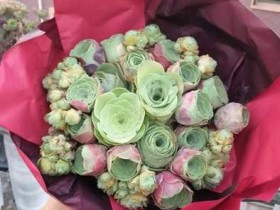 山地玫瑰的记录贴,还真是特别美有木有?