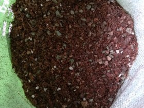 网购的土终于到了,萌新要正式迈入多肉坑啦!