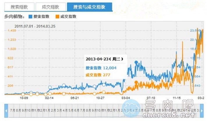 大数据分析，多肉植物火起来的过程图片 No.4