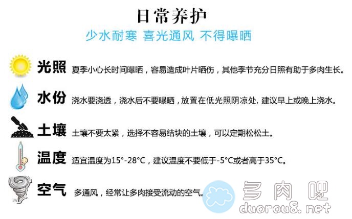 网购多肉，卖家提供的一些多肉养护知识与常见问题解答图片 No.2